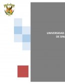 ANÁLISIS PELÍCULA LA OLA (PSICOLOGÍA SOCIAL).