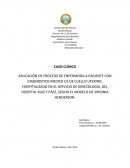 APLICACIÓN DE PROCESO DE ENFERMERÍA A PACIENTE CON DIAGNOSTICO MEDICO CA DE CUELLO UTERINO, HOSPITALIZADO EN EL SERVICIO DE GINECOLOGÍA, DEL HOSPITAL RUIZ Y PÁEZ, SEGÚN EL MODELO DE VIRGINIA HENDERSON.