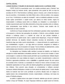 Lutando Sozinhos: O desafio do decrescente capital social e a profissão militar