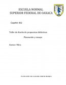 Cuales son las Estrategias didácticas , español secundaria