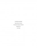 Como se da el Control 1 EIA