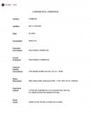 Caso NH Hoteles UNIVERSIDAD PRIVADA DE TACNA – PERÚ