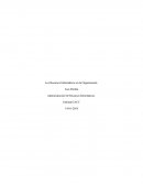 Los Recursos Informáticos en la Organización.