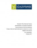 Un Ensayo costo de oportunidad