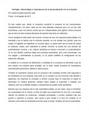Ensayo Flexibilidad en Automatizacion