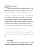 TINTAS PENETRANTES MARCO TEÓRICO/METODOLOGÍA