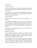 SUBSITEMAS ¿Qué tipo de conflictos?