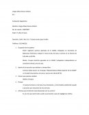 Evaluación diagnóstica