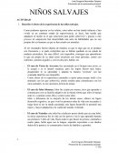 ANALISIS PELICULA PEQUEÑO SALVAJE