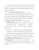 Tarea06_Fol ¿Ante qué tipo de emergencia nos encontramos?