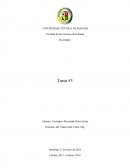 Componentes esenciales de la cultura