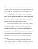 Epilepsia resistente a los medicamentos: Definición y de tratamiento