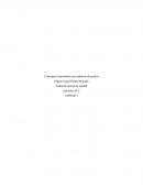 Conceptos relacionados con auditoria de gestion