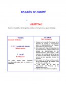 REUNIÓN DE COMITÉ