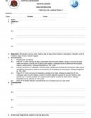 AREA DE BIOLOGÍA PRÁCTICA DE LABORATORIO N° formato