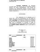 PLANILLA DE LIQUIDACIÓN ALIMENTOS FORMATO