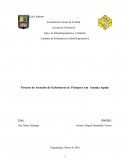 Proceso de Atención de Enfermería en Puérpera con Anemia Aguda
