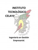SOFTWARE DE APLICACIÓN EJECUTIVO.