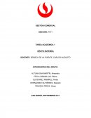 TAREA ACADÉMICA 1 GRUPO SUPEMSA