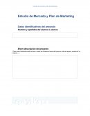 Estudio de Mercado y Plan de Marketing