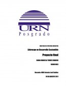 Liderazgo en Desarrollo Sostenible Proyecto final