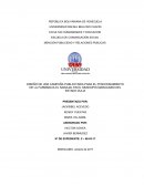 DISEÑO DE UNA CAMPAÑA PUBLICITARIA PARA EL POSICIONAMIENTO DE LA FARMANCIA EL NARAJAL EN EL MUNICIPIO MARACAIBO DEL ESTADO ZULIA