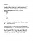 Microentorno condones