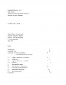 Cadena de Valor Banco Falabella