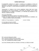 CURVAS VERTICALES