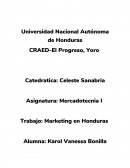 Evolución histórica de la mercadotecnia en Honduras