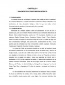 CAPÍTULO I DIAGNÓSTICO PSICOPEDAGÓGICO