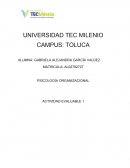 PSICOLOGÍA ORGANIZACIONAL ACTIVIDAD EVALUABLE 1