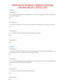 Gerencia de Pequeña y Mediana Empresa JOHANA MEJIA CASTELLON