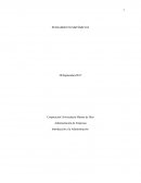 PENSAMIENTO SISTÉMICO II (INTRO A LA ADMINISTRACIÓN)