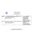 PLAN DE TRABAJO Problemática (Evaluación cualitativa)