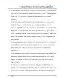 Quimica Biológica - La lluvia ácida