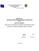SISTEMA INSTRUCCIONAL BASADO EN OBJETIVOS