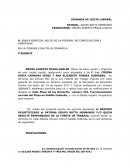 DEMANDA DE JUICIO LABORAL