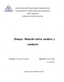 Relación entre cerebro y conducta