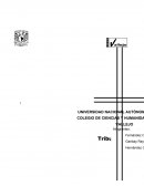 Tribus urbanas, grupos sociales, juventud, estudiantes, CCH Vallejo