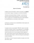 Reporte de Pentesting