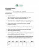 Plan de trabajo- portafolio empresarial