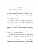 Un Proyecto de matematica capitulo I