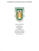 Investigacion Deserción Escolar