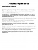 Australopithecus características Afarensis