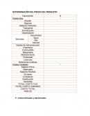 DETERMINACIÓN DEL PRECIO DEL PRODUCTO