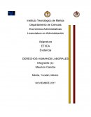 Evidencia DERECHOS HUMANOS LABORALES