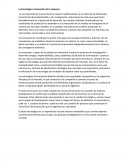 Tecnología e Innovación de una empresa