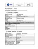 Reporte interno de accidentes