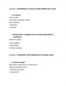 BLOQUE III: RECONOCER A LA CÉLULA COMO UNIDAD DE LA VIDA